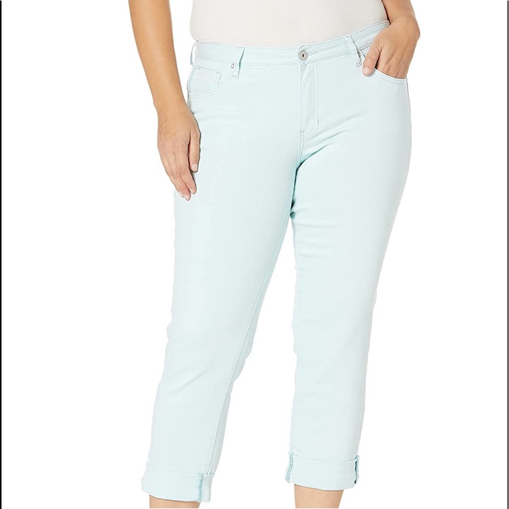 Jag Carter Girlfriend Jeans Atmosphere, size 10/30-Excellent condition